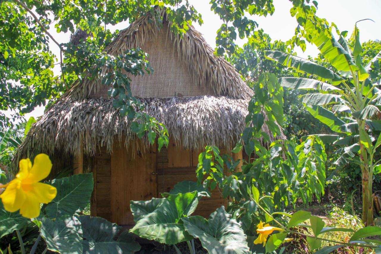Samana Ecolodge El Limon Exteriör bild