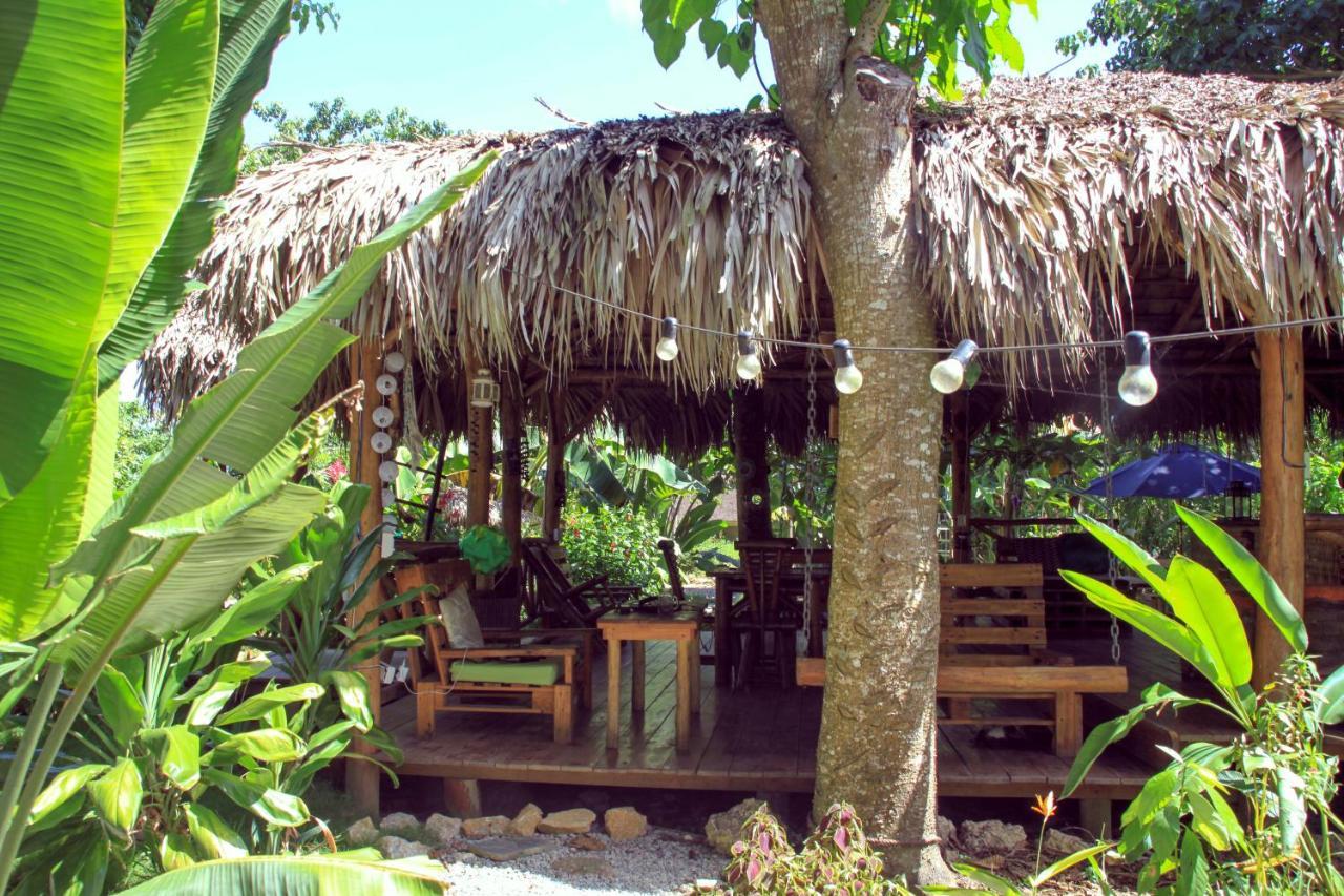 Samana Ecolodge El Limon Exteriör bild