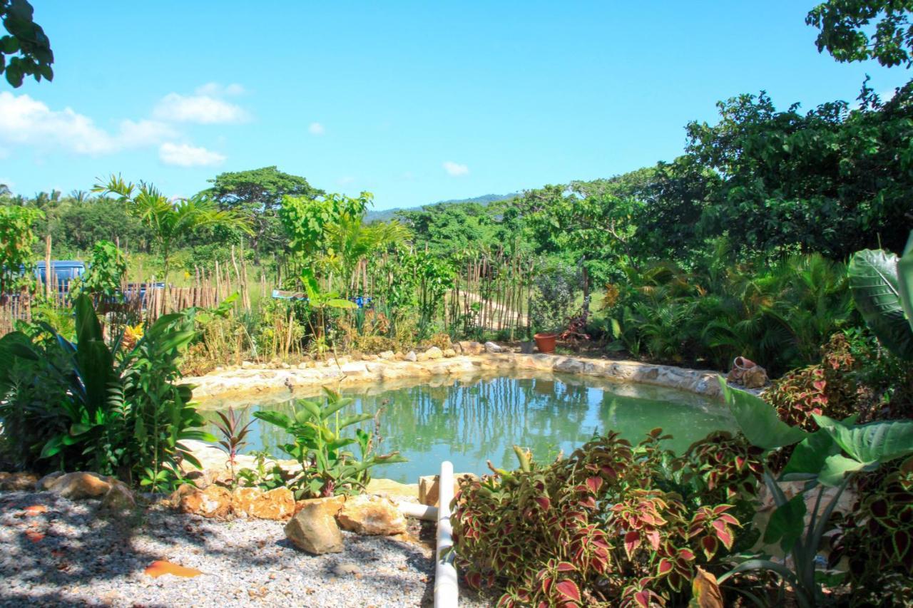 Samana Ecolodge El Limon Exteriör bild