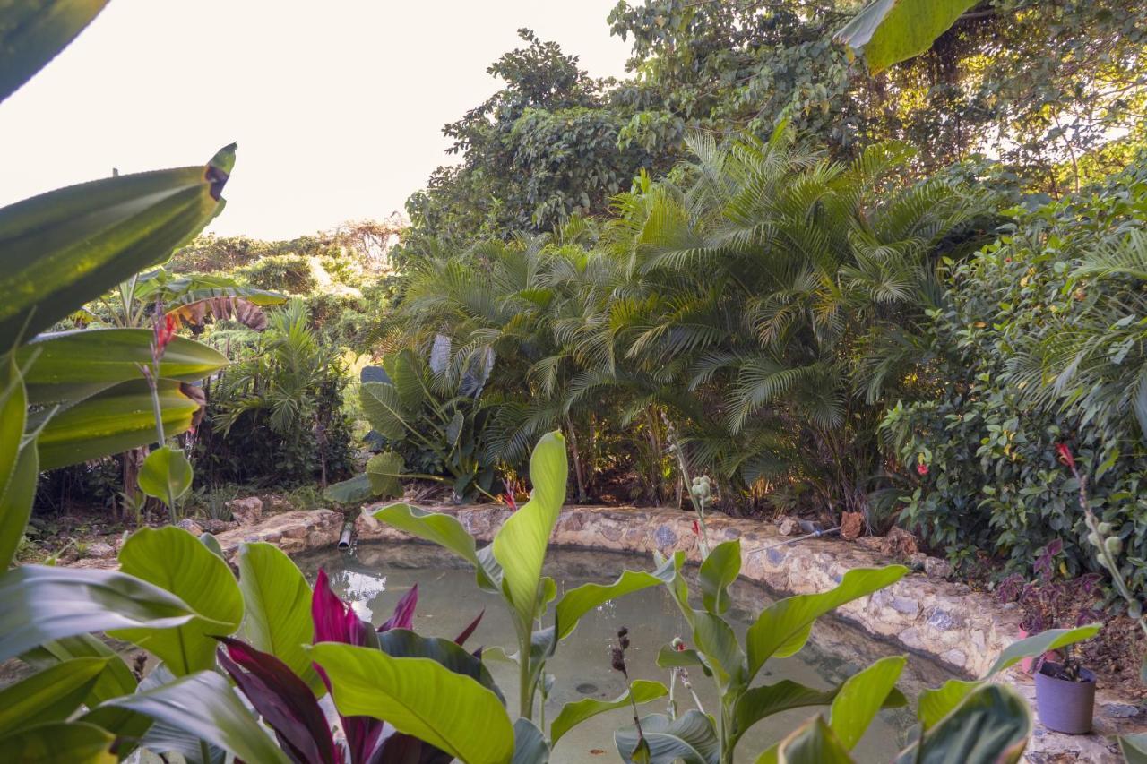 Samana Ecolodge El Limon Exteriör bild